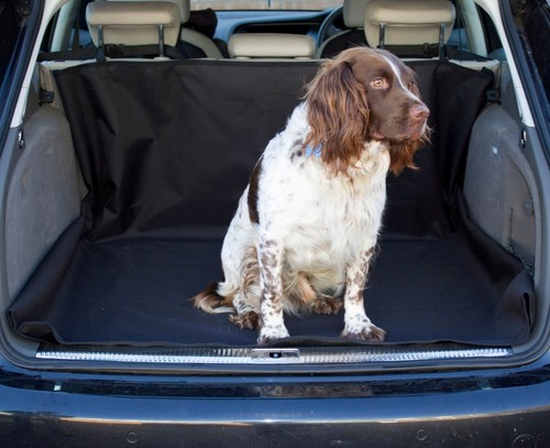 Fits fiat multipla car - fits,